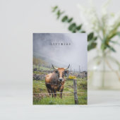 Asturias Mountain Cow Travel ポストカード (スタンド正面)