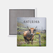 Asturias Mountain Cow Travel マグネット (正面/裏面)