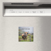 Asturias Mountain Cow Travel マグネット (インサイチュ (食洗機))