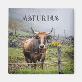Asturias Mountain Cow Travel マグネット