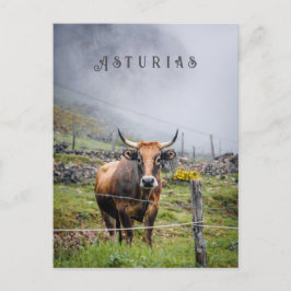 Asturias Mountain Cow Travel, decorative text ポストカード