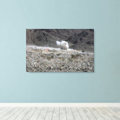 AT-4小型ロケットランチャーからのラウンド キャンバスプリント (インサイチュ (ウッドフロア))