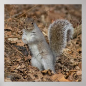 At Attention ポスター (正面)