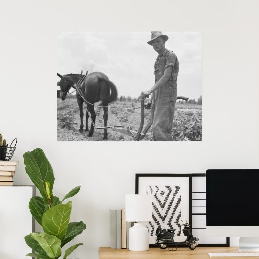 At Work in the Cotton ポスター (ホームオフィス)