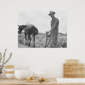 At Work in the Cotton ポスター (キッチン)