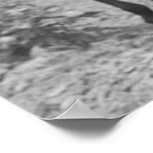 At Work in the Cotton ポスター (角)