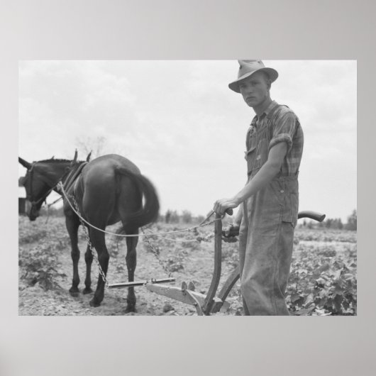 At Work in the Cotton ポスター (正面)