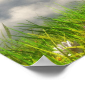 At World's Edge (春) ポスター (角)