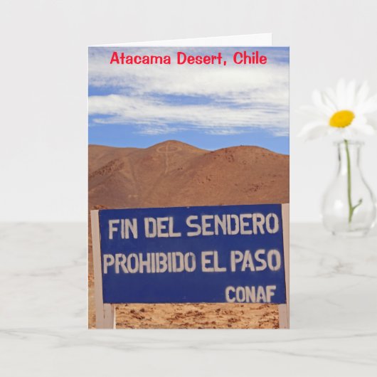 Atacama geoglyphs, Chile Card カード (小さな植物)