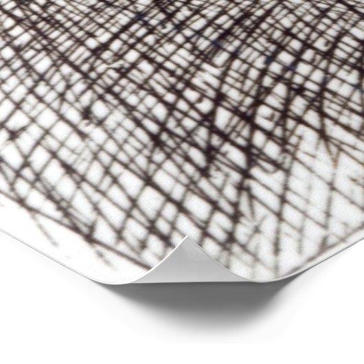 Atalanta, c.1653 ポスター (角)