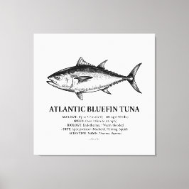 Atlantic Bluefin Tuna Scientific Illustration  キャンバスプリント