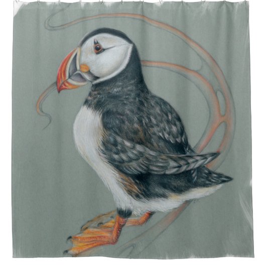 Atlantic Puffin Bird Art Drawing シャワーカーテン (正面)