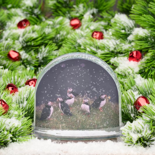 Atlantic Puffins (クリスマス)