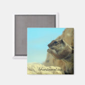 Atlashörnchen マグネット (正面/裏面)