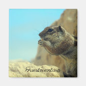 Atlashörnchen マグネット (正面)