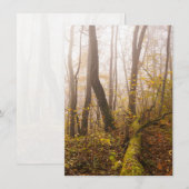 Atmospheric Autumn Forest in Mist シーズンカード (正面/裏面)