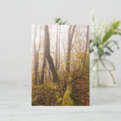 Atmospheric Autumn Forest in Mist シーズンカード (スタンド正面)