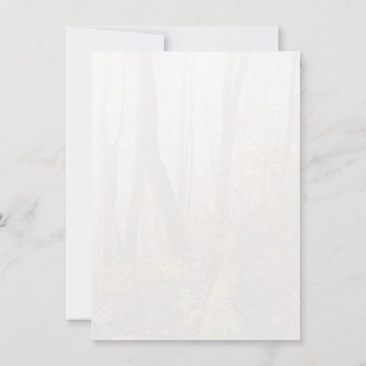 Atmospheric Autumn Forest in Mist シーズンカード (裏面)