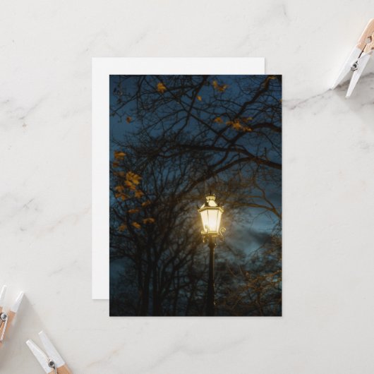 Atmospheric Lantern in Autumn Park カード (正面/裏面インサイチュ)