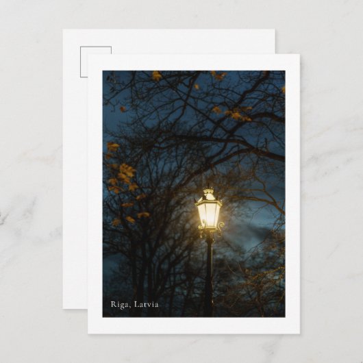 Atmospheric Lantern in Autumn Park, Riga  ポストカード (正面/裏面)