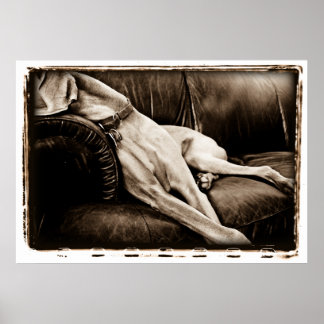 Atomic Cerebellum ：ソファを乗り越える ポスター