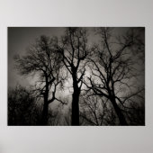 Atomic Cerebellum ：冬の湖畔 ポスター (正面)