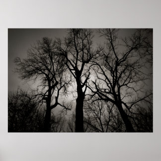 Atomic Cerebellum ：冬の湖畔 ポスター