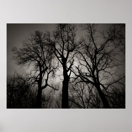 Atomic Cerebellum ：冬の湖畔 ポスター (正面)