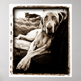 Atomic Cerebellum : Ballou's Chair ポスター