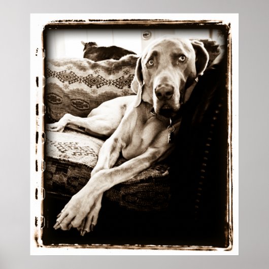 Atomic Cerebellum : Ballou's Chair ポスター (正面)