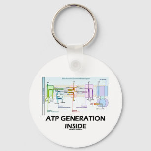 ATPの世代別内部(電子輸送鎖) キーホルダー