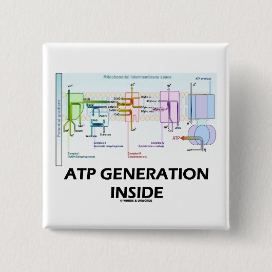 ATPの世代別内部(電子輸送鎖) 缶バッジ (正面)