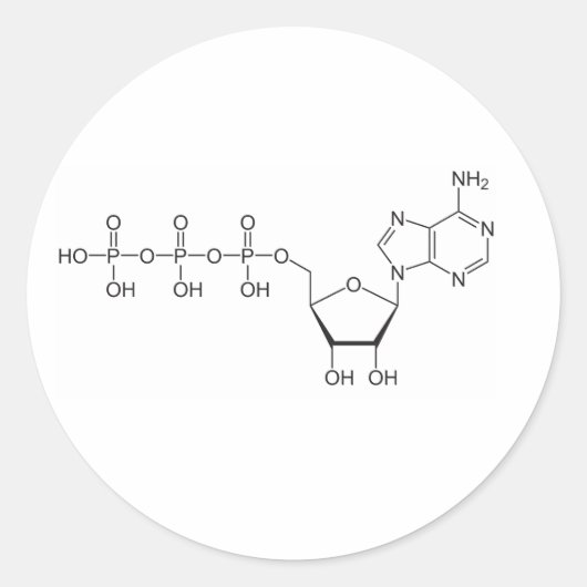 ATPの分子 ラウンドシール (正面)