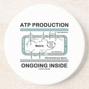 ATPの生産の進行中の内部(Mitochondrion) コースター