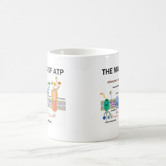 ATPの製造(光依存性光合成) コーヒーマグカップ (中央)