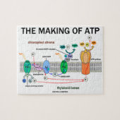 ATP光合成姿勢の作成 ジグソーパズル (横)