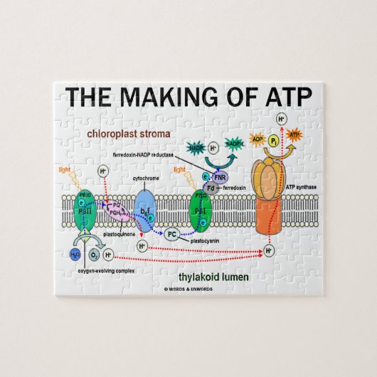 ATP光合成姿勢の作成 ジグソーパズル (横)