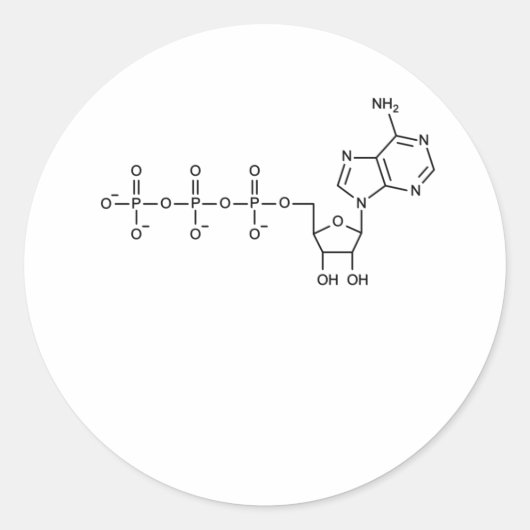 ATP公式ATP生理科学先生 ラウンドシール (正面)