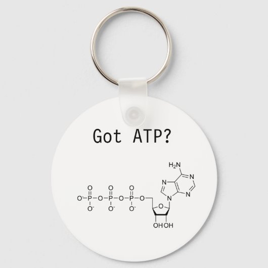 ATP得? キーホルダー (正面)