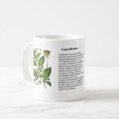 Atropaのベラドンナ コーヒーマグカップ (正面左)