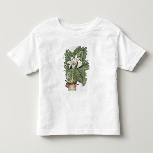 Atropaのmandragora トドラーTシャツ (正面)