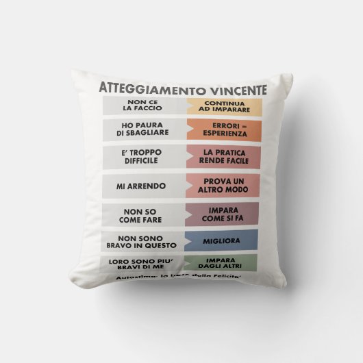 Atteggiamento Vincente クッション (正面)