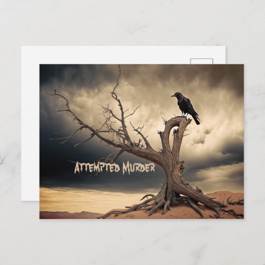 Attempted Murder  ポストカード (正面/裏面)