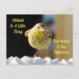 Attitudeはがき – Palm Warbler Bird ポストカード