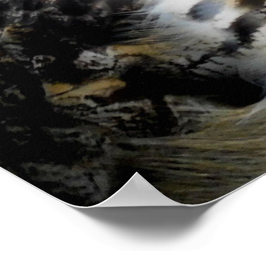 'Attitude' – フクロウ ポスター (角)