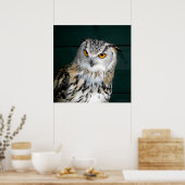 'Attitude' – フクロウ ポスター (キッチン)