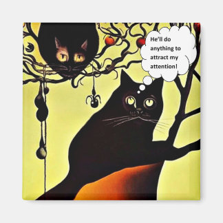 Attracting my attention マグネット