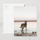 au loin ポストカード (正面/裏面)