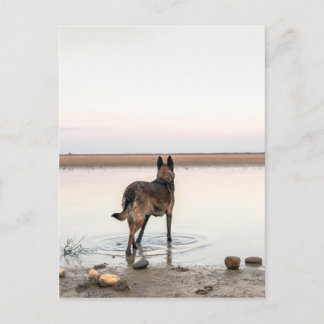 au loin ポストカード