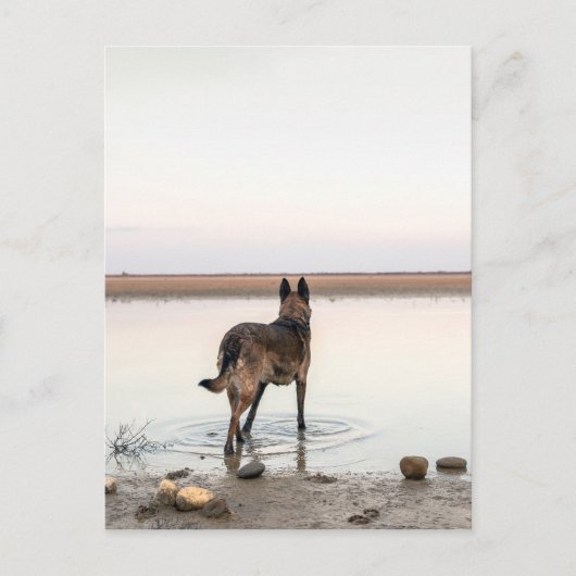 au loin ポストカード (正面)